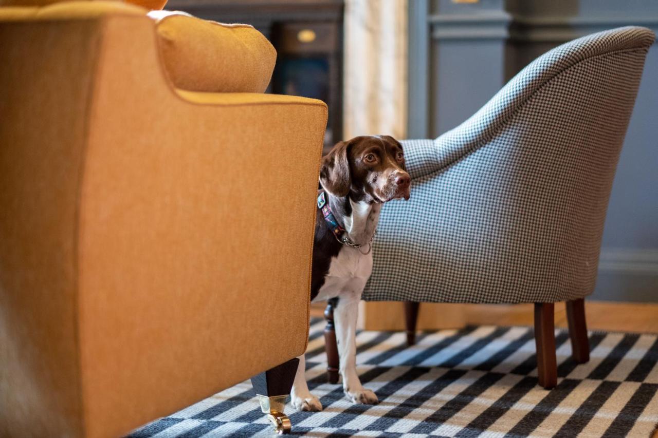 Fowey Hall Hotel Zewnętrze zdjęcie